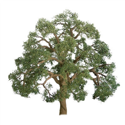 94349 Professional Trees | N scale | Live Oak | 2" | 3 pack