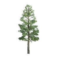 94293 Professional Trees | Multi-scale | Pine | 3" PRO | 3 pack