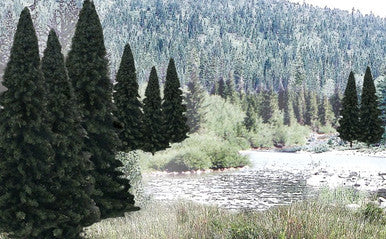 4"-6" Evergreen Blend | 13 pk