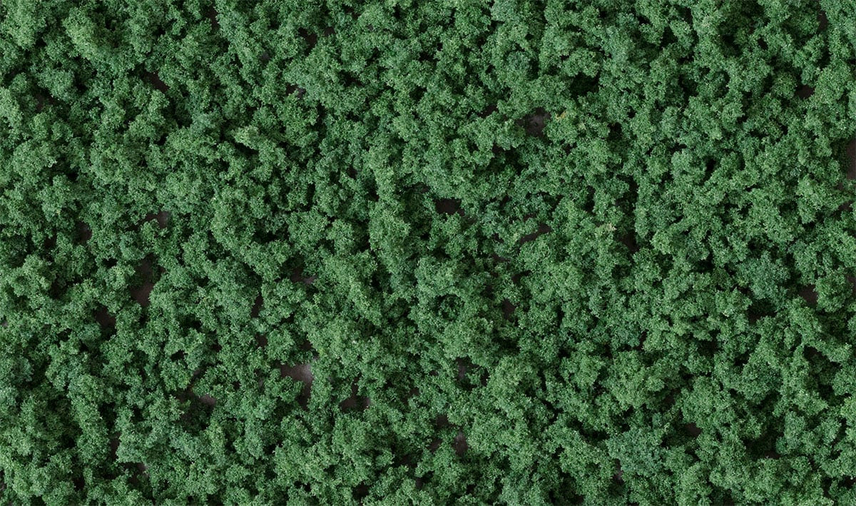 FC1637 Underbrush | Dark Green | Shake