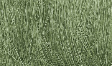 FG174 Field Grass | Medium Green