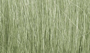 FG173 Field Grass | Light Green