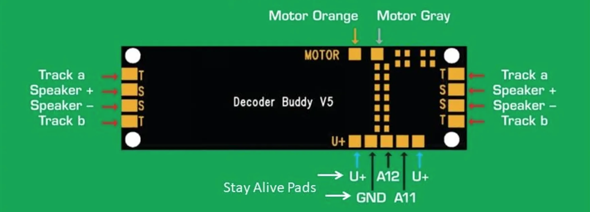 NTZ5 Decoder Buddy V5 (21 Pin)